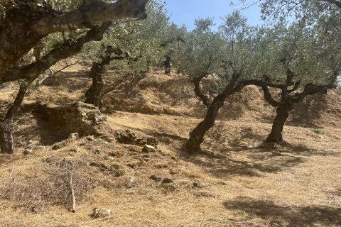 Land in Zakynthos, Greece No. 70915 11