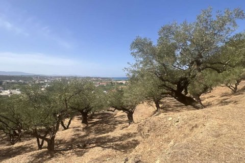 Land in Zakynthos, Greece No. 70915 8