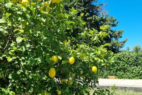 3 bedrooms Properties in Phuoc Nghia, Vietnam No. 92338 3