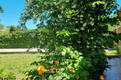 3 bedrooms Properties in Phuoc Nghia, Vietnam No. 92338 11