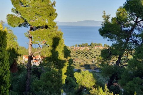 3 bedrooms Villa in Chalkidiki, Greece No. 51122 15