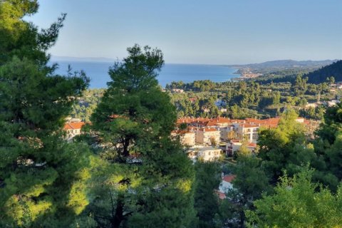 3 bedrooms Villa in Chalkidiki, Greece No. 51122 14