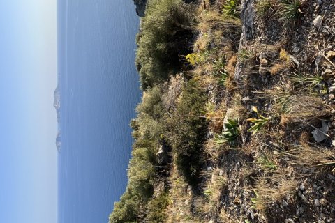 4100m² Land in Rethymno, Greece No. 117724 1