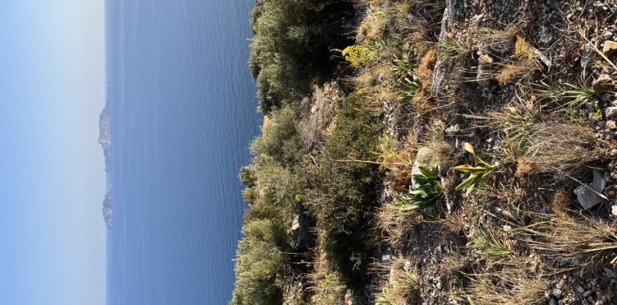 4100m² Land in Rethymno, Greece No. 117724