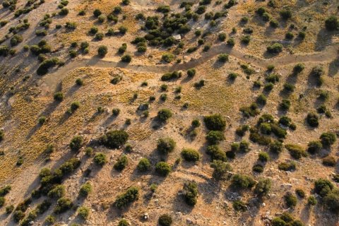 4100m² Land in Rethymno, Greece No. 117724 2