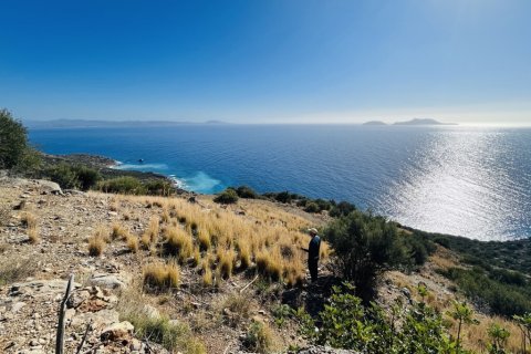 4100m² Land in Rethymno, Greece No. 117724 3