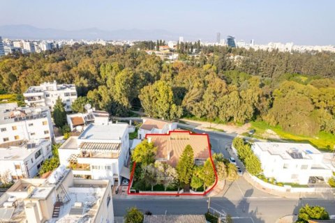 350m² Villa in Nicosia, Cyprus No. 105125 14
