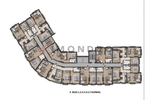 3 bedrooms Apartment in Binh Khanh Dong, Vietnam No. 21189 19