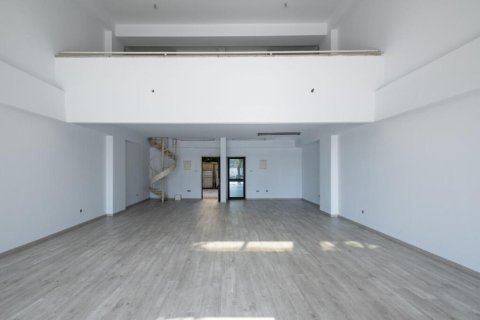 2130m² Commercial property in Nicosia, Cyprus No. 105111 13