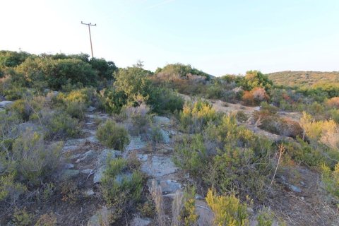 9500m² Land en Chalkidiki, Greece No. 108166 7
