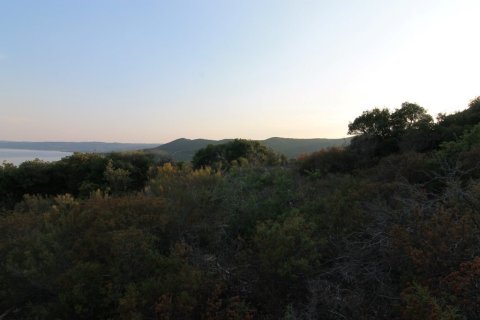 9500m² Land en Chalkidiki, Greece No. 108166 4