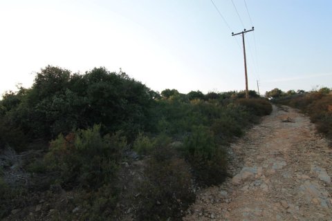 9500m² Land en Chalkidiki, Greece No. 108166 3