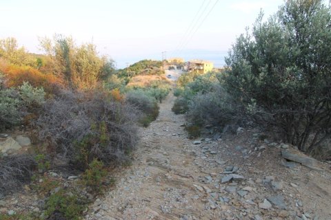 9500m² Land en Chalkidiki, Greece No. 108166 8