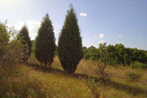 Дом с 3 спальнями в Лангадас, Греция №56283 27