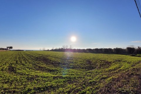 9375m² Land in Epanomi, Greece No. 108495 3