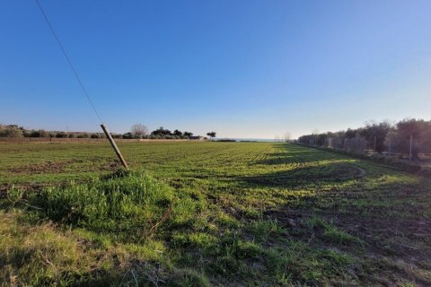 9375m² Land in Epanomi, Greece No. 108495 7