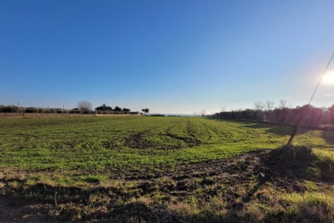 9375m² Land in Epanomi, Greece No. 108495 5