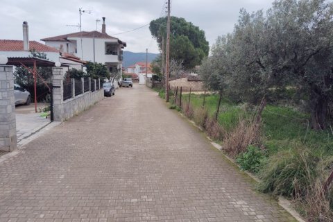 1305m² Land in Polygyros, Greece No. 54543 12