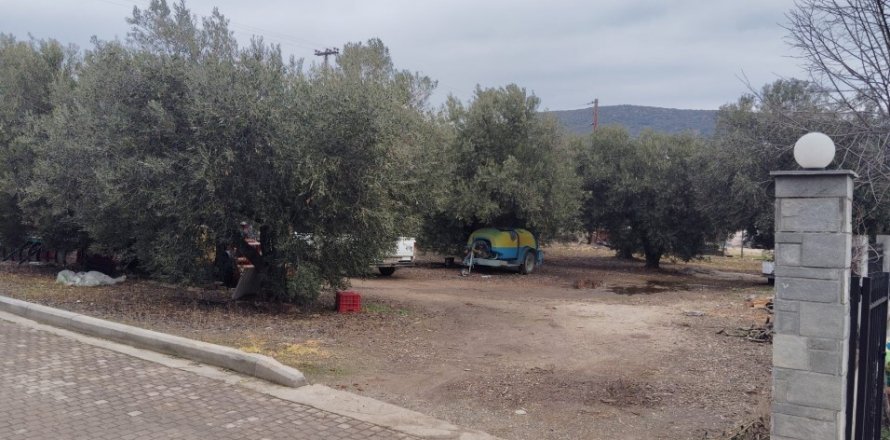 1305m² Land in Polygyros, Greece No. 54543
