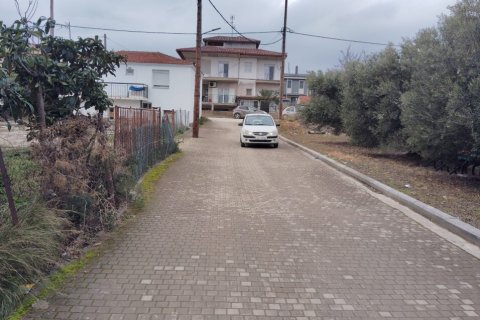 1305m² Land in Polygyros, Greece No. 54543 8