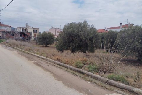 1305m² Land in Polygyros, Greece No. 54543 4