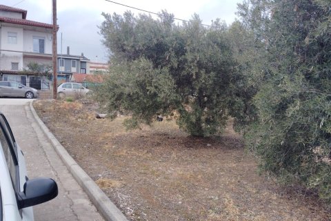1305m² Land in Polygyros, Greece No. 54543 11