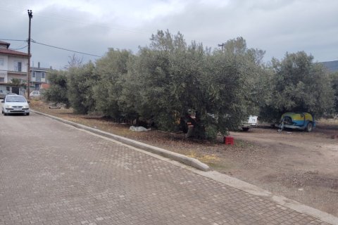 1305m² Land in Polygyros, Greece No. 54543 9