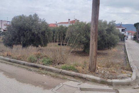 1305m² Land in Polygyros, Greece No. 54543 7