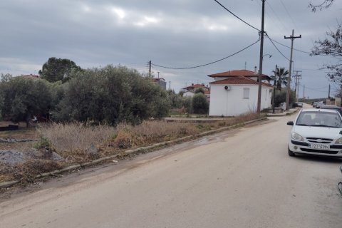 1305m² Land in Polygyros, Greece No. 54543 3