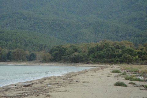 4785000m² Land in Chalkidiki, Greece No. 108684 17