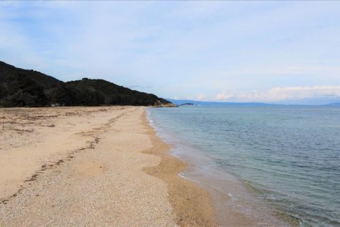 4785000m² Land in Chalkidiki, Greece No. 108684 6