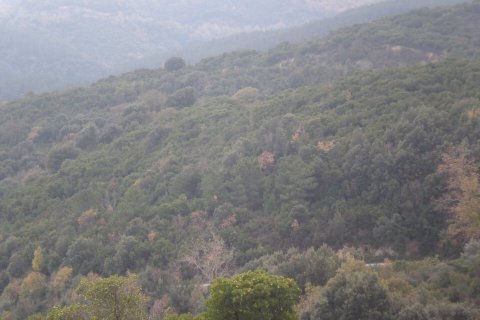 4785000m² Land in Chalkidiki, Greece No. 108684 20