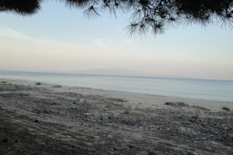 4785000m² Land in Chalkidiki, Greece No. 108684 29