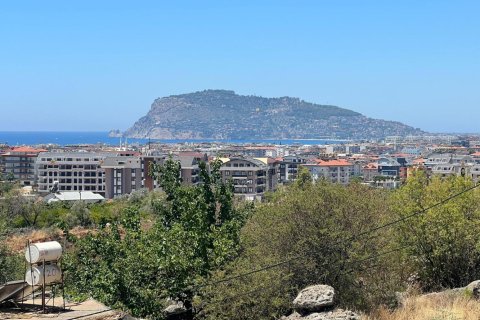 4 bedrooms Villa in Cai Rang, Vietnam No. 15333 22