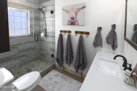 4 bedrooms House in Eagle, USA No. 104568 15