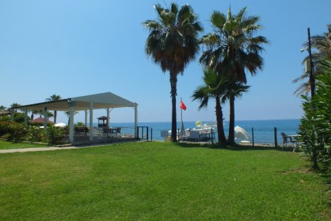 4 bedrooms Villa in Nong Ha, Vietnam No. 15196 19