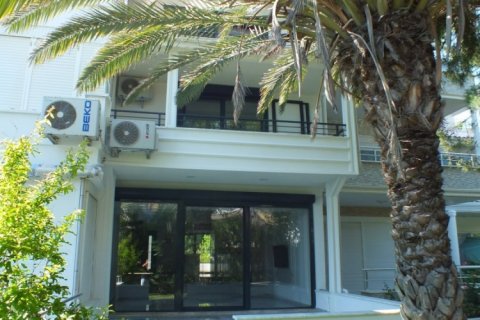 4 bedrooms Villa in Nong Ha, Vietnam No. 15196 14