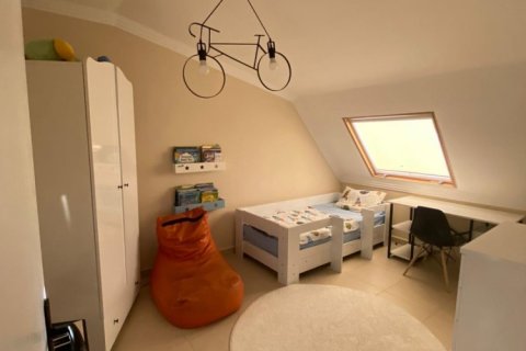 4 chambres Penthouse à Phong Thanh Tay A, Vietnam No. 12850 3