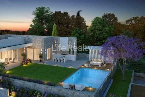 2 chambres House à Monagroulli, Cyprus No. 73345 11