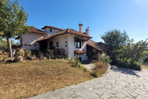 Вилла с 5 спальнями в Термаикос, Греция №107411 22
