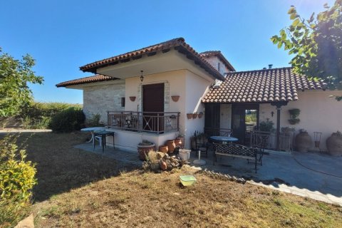 Вилла с 5 спальнями в Термаикос, Греция №107411 23