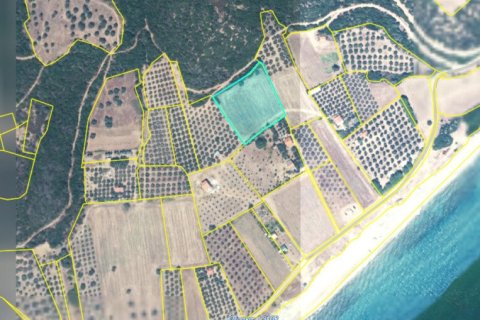 4959m² Land à Chalkidiki, Greece No. 108757 3