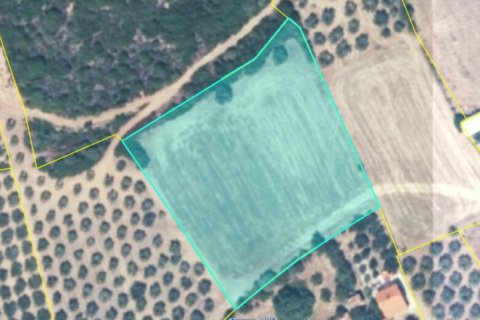 4959m² Land à Chalkidiki, Greece No. 108757 2