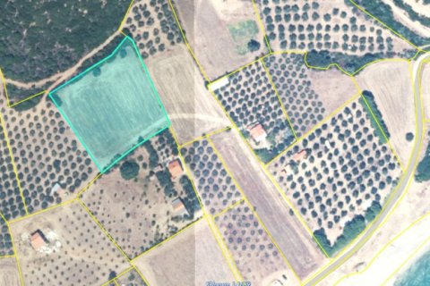 4959m² Land à Chalkidiki, Greece No. 108757 1