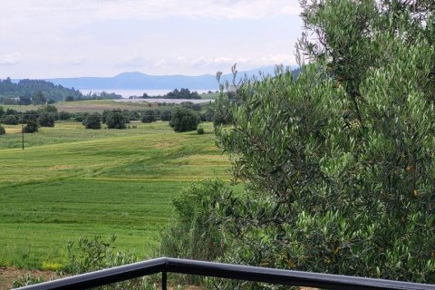 3 bedrooms House in Chalkidiki, Greece No. 107833 16