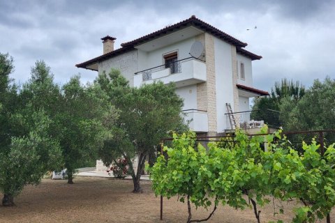 3 bedrooms House in Chalkidiki, Greece No. 107833 15