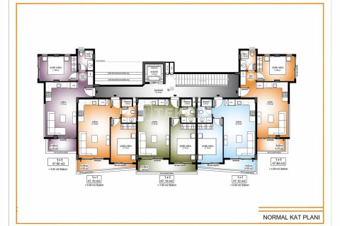 1 chambre Appartement à Chau Lang, Vietnam No. 11046 4