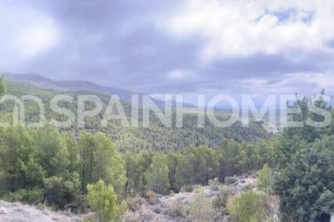 4812m² Land à Ban Xeo, Vietnam No. 88260 23