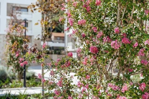 Квартира с 2 спальнями в Херцег-Нови, Черногория №84201 18