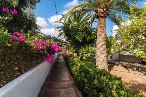 42 rooms Hotel in Hersonissos, Greece No. 56209 7